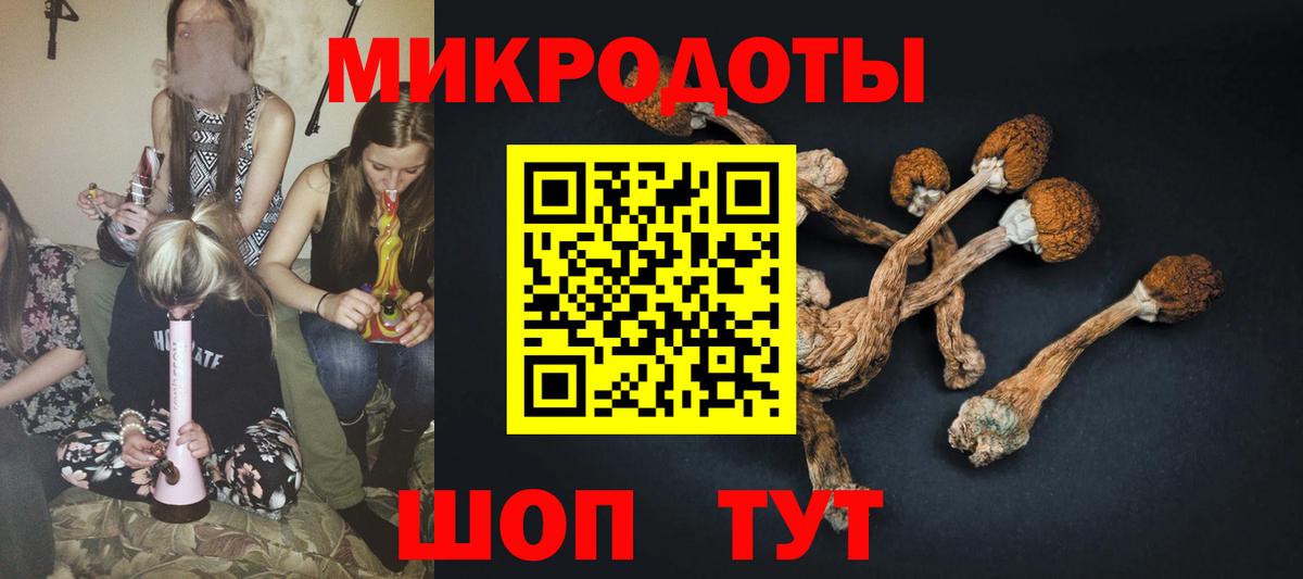 Гай  даркнет сайт  Вход с VPN  Псилоцибиновые грибы Psilocybe  Псилоцибиновые грибы MAGIC MUSHROOMS 
