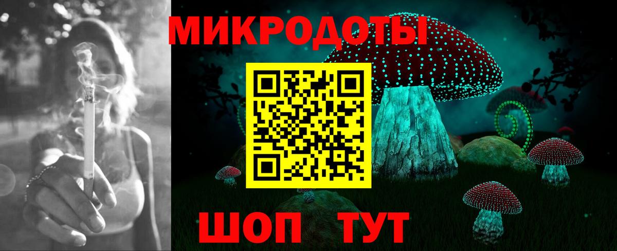 Галлюциногенные грибы Psilocybine cubensis Гай